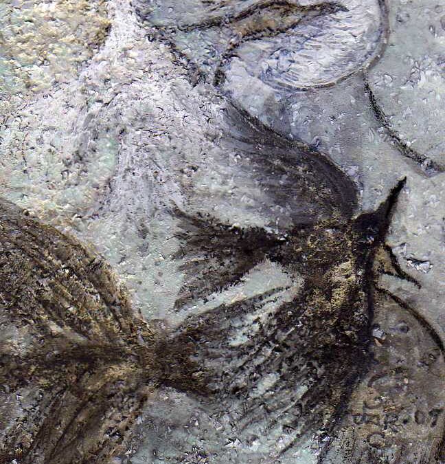 Birds of a Feathers